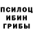 Галлюциногенные грибы ЛСД vlad krehel