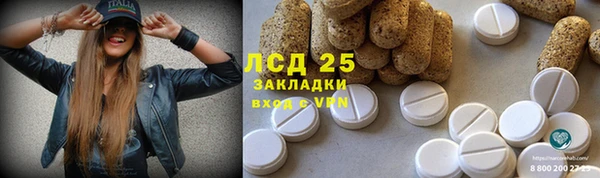 сатива Алексеевка