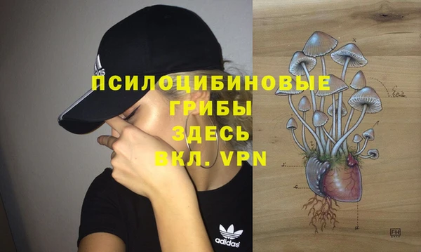 соль курить ск Алзамай