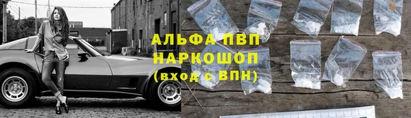 сатива Алексеевка